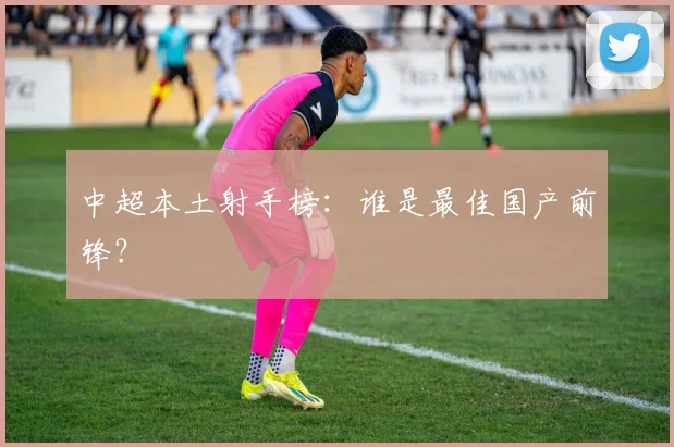 中超本土射手榜：谁是最佳国产前锋？