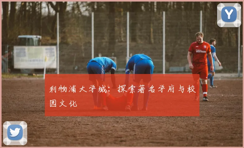 利物浦大学城：探索著名学府与校园文化